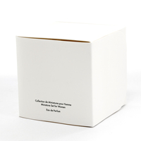 Boîte de soins de la peau personnalisée Carton cosmétique emballage pliable Tuck Top personnalisé imprimé boîte à cosmétiques en papier emballage