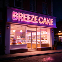 Letras de Canal LED con Gradiente de Color Personalizado de Alta Visibilidad, Modos Multicolor, Alimentación por Enchufe de CA, Juego de Letreros para Exteriores/Interiores, Tiendas, Hoteles