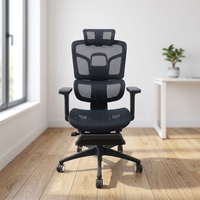 Chaise de bureau ergonomique avec support lombaire, dossier en maille haute élasticité, cadre chromé, hauteur réglable, accoudoirs pivotants, multifonction