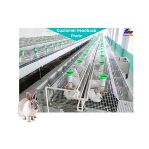 Jaula de conejo <span class=keywords><strong>para</strong></span> cría, alta tasa de supervivencia, agua potable automática, precio de fábrica - Product Image 2