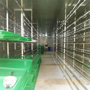 Système d'hydroponie pour fourrage 40 HQ, conteneur pour systèmes de culture hydroponique agricole, fourrage - Product Image 3