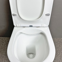 WC en céramique sans bride, à chasse d'eau, avec marquage Watermark, deux pièces, pour salle de bain, vente en gros d'usine MWD