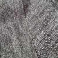 Entoilage thermocollant non tissé 38GSM écologique certifié OEKO-TEX, résistant au rétrécissement, 100% Polyester PA Double Pointe, thermocollant