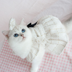 Cat Princess Costume: Stylish & Customizable for Pets