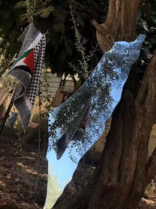 Nuoxin Gương trang trí Nội Thất Tường palestine gương bản đồ của palestine Sticker gương khuyến mãi cung cấp - Product Image 5