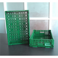 Caisse pliable pour fruits de haute qualité 600x400x140 mm, style maille, prix promotionnel pour un usage domestique
