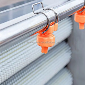 เครื่องล้างและปอกเปลือกมันฝรั่งและผลไม้แบบต่อเนื่อง กำลังการผลิต 300 กก./ชม. สำหรับมันม่วง กีวี และมันเทศ  ลดราคาพิเศษ - Product Image 4