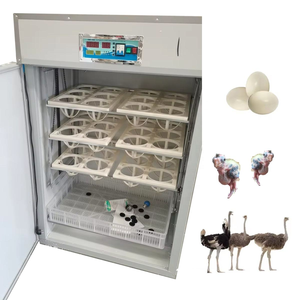 Incubateur d'œufs d'autruche électrique numérique à commande automatique fabriqué en Chine avec retournement automatique des œufs - Product Image 3