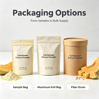 Poudre de melon Hami biologique en promotion pour la pâtisserie et les ingrédients de desserts