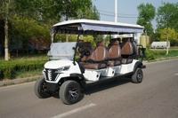Voiturette de golf électrique haut de gamme, design de luxe, personnalisable (OEM), 2 à 8 places, pour l'extérieur, accessoires de golf adaptés aux terrains de golf et aux villas