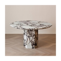 Table basse Newstar Light Luxury Simple en marbre naturel, table en marbre Calacatta Viola