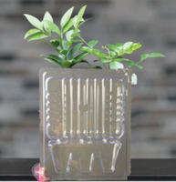 Emballage avec clapet en pvc transparent pour animaux domestiques, boîte personnalisée pour expédition de plantes