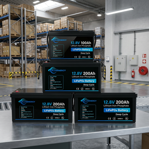 แบตเตอรี่ LiFePO4 ของ EU โปแลนด์ 12V 24V ขนาด 100Ah-300Ah สำหรับระบบพลังงานแสงอาทิตย์ มอเตอร์ลากจูง 8000 รอบ CE - Product Image 1