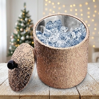 Seau à glace isotherme à double paroi en acier inoxydable de 2 L avec pince pour bière et vin