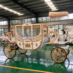 Carruaje Eléctrico de Estilo Real Más Vendido para Bodas y Turismo, Color Personalizado, Neumáticos de Goma Sólida, Uso en Parques de Atracciones - Product Image 6