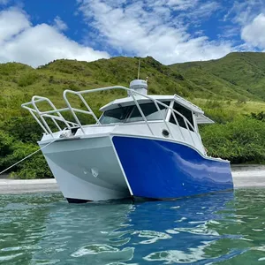 Powerful and Durable Aluminium alloy welded 29ft 8.8m foam injected high speed fishing boat luxury Catamaran