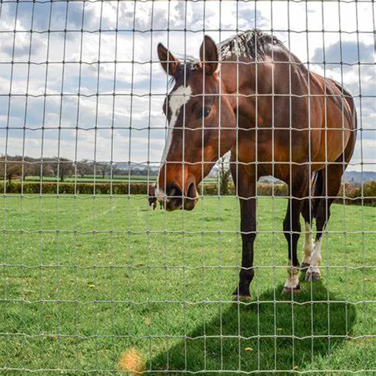 Hot Sale farm fence livestock sheep wire mesh fence and goat/cow/horse fences