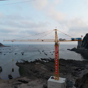 Vente flash Grue à tour Dahan haute sécurité QTZ63-5013-5 tonnes 50M Topkit pour le levage de 5 tonnes pour les travaux de construction lourds - Product Image 4