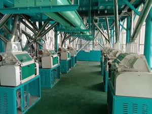 Ligne de production complète de moulin à céréales commercial pour blé et maïs, ensemble complet de machines de mouture de farine de blé et de maïs - Product Image 6