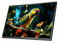 Écran d'extension professionnel pour ordinateur portable 23,8 pouces D1 1080P 100HZ avec interfaces TYPE-C – Moniteur externe LCD portable