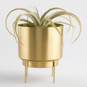 Industrial Design Brass Coated Iron Flower <b>Pot</b> <b>Stand</b> Rust Proof Raised Indoor Outdoor Garden Decoration Minimum Order 30 Pieces - Product Image 3