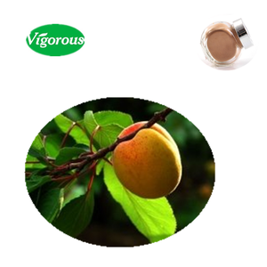 สารสกัดจากอัลมอนด์ <span class=keywords><strong>Prunus</strong></span> armeniaca บริสุทธิ์เป็นธรรมชาติ - Product Image 2