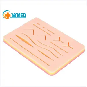 Factory Scientific medical anatomy model human skin model new medical suture pad college teaching resources equipment