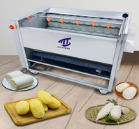 Automatische Borstelwasmachine Schilmachine Voor Gember, Cassave, Zoete Aardappel, Citroen, Wortel-Groente Fruit Viswasser Dunschiller