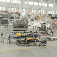 Équipement de remplissage spécialisé pour l'industrie chimique certifié CE, ligne de production de remplissage de lubrifiants entièrement automatique