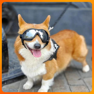 Gafas Caninas Resistentes con Lentes Irrompibles para Aventuras al Aire Libre - Product Image 3