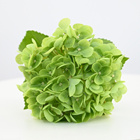 Bunga Hydrangea Buatan Lateks Biru Putih Real Touch 62cm Berkualitas Tinggi untuk Dekorasi Pernikahan Dekorasi Rumah Rangkaian Bunga