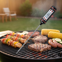 Termometer Dapur Digital Plastik Tahan Air Bertenaga Baterai dengan Rentang -50-300C untuk BBQ dan Penggunaan Daging Rumah Tangga