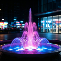Mini Fontaine Musicale Dansante Extérieure à LED RGB en Acier Inoxydable, Taille Personnalisée pour Villa, Hôtel, Petit Projet Paysager