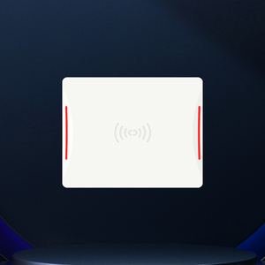 Système de plafond antivol RFID RUIFEIDI UHF 860-960 MHz <span class=keywords><strong>Antenne</strong></span> de sécurité RFID EAS montée au plafond pour la prévention des pertes en magasin - Product Image 2