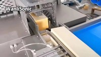 Équipement industriel automatique de pelage de pain et machine à trancher le pain Wanlisonic à haute productivité