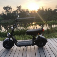 Patinete Eléctrico Citycoco Personalizado, Kit de Conversión de Bicicleta Eléctrica a Buen Precio con Batería
