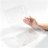 Groothandel 1000C Transparante Ademend Wegwerpbaar Aanpasbaar Scharnierend Clamshell PET Verpakking, 1000g Capaciteit voor Vers Fruit