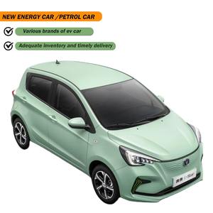 รถยนต์ขนาดเล็ก Benben <span class=keywords><strong>E</strong></span>-Star 2023รถยนต์ไฟฟ้าลิเธียมเหล็กฟอสเฟตสีสันสดใสรุ่นหัวใจใส - Product Image 1