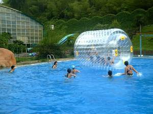 <span class=keywords><strong>Rodillo</strong></span> de agua inflable <span class=keywords><strong>para</strong></span> <span class=keywords><strong>bicicleta</strong></span>, pelota <span class=keywords><strong>para</strong></span> caminar, PVC/TPU, el <span class=keywords><strong>mejor</strong></span> <span class=keywords><strong>precio</strong></span> - Product Image 3