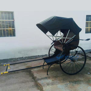 Triciclo Eléctrico Plegable con Capota, Estilo Rickshaw Vintage, Jinrikisha de Empuje Manual, Estilo Carruaje Real - Product Image 5