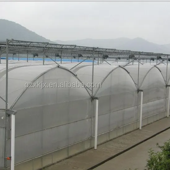 Cheap greenhouse Multi span agricultural greenhouse with greenhouse plastic film