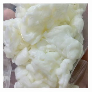 ขายมะพร้าววุ้นคุณภาพสูงจากซัพพลายเออร์เวียดนามในราคาที่ดี - Product Image 1