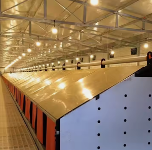 Tùy chỉnh thiết kế Gà Gia cầm gà trứng làm tổ hộp xây dựng CuộN ra gà tổ CuộN đi trứng hộp - Product Image 5