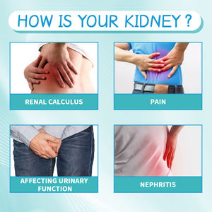 Grosir gratis pengiriman klip titik perawatan ginjal untuk Acuppresure Terapi magnetik untuk meningkatkan kesehatan ginjal - Product Image 5