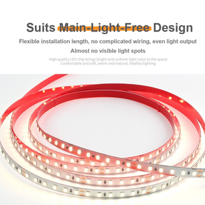 ไฟ LED แบบเส้น PVC ติดตั้งเองได้จากโรงงาน 120LED/S SMD3528 ความกว้าง PCB 8 มม. สำหรับงานก่อสร้าง ตัดได้ - Product Image 2