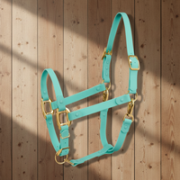 En gros, Collier de tête de cheval réglable, finition plaquée, robuste, antidérapant et durable, pour usage industriel et entraînement