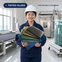 Verre flotté teinté gris foncé Euro Grey 4mm 5mm 6mm 8mm 10mm en feuille pour fenêtres et portes de bâtiment - Fournisseur d'usine