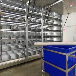 Systèmes de culture hydroponique personnalisée, 1000kg/<span class=keywords><strong>d</strong></span> - Product Image 2