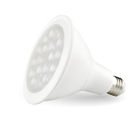 Spot LED personnalisé 8W 12W 18W 20W 24W 30W SMD COB PAR20 PAR30 PAR38 Ampoule LED