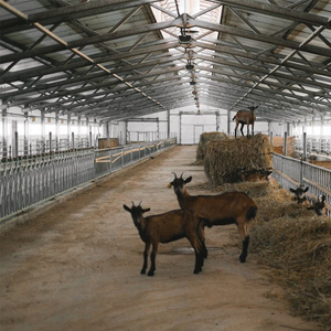 Diseño <span class=keywords><strong>de</strong></span> Construcción <span class=keywords><strong>de</strong></span> Gallineros Prefabricados, Cobertizos para Ganado, Gallineros, Cobertizos para Cabras, Granjas Avícolas - Product Image 6